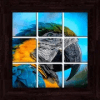 Birds Puzzles - 101 pictures手机版下载