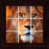 Animals Puzzles - 101 pictures怎么下载到手机