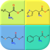 Amino Acids Structures  Quiz and Flashcards