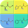 Amino Acids Structures  Quiz and Flashcardsiphone版下载