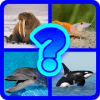 Quiz Animale Acvaticeiphone版下载