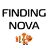 Finding Nova