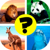 Animals: quiz. Mammals, Birds and Fish占内存小吗