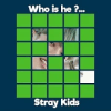 Guess STRAY KIDS Member