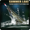 Summer lake费流量吗