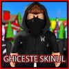 ROBLOX GHICESTE PERSONAJUL无法安装怎么办