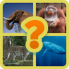 Endangered Species Guess Game新手攻略