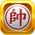Chinese Chess - Xiangqi Master费流量吗