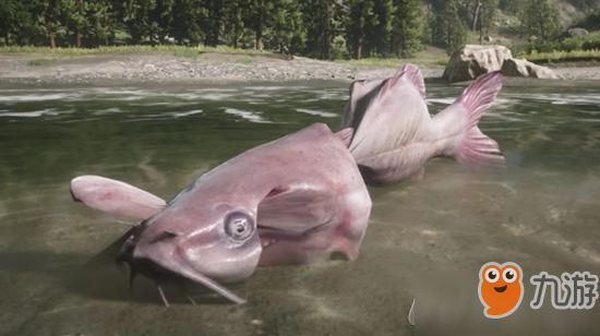 《荒野大镖客2》玩家发现巨型鲶鱼 重量超正常10倍