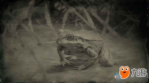 《荒野大镖客2》美国牛蛙图鉴一览