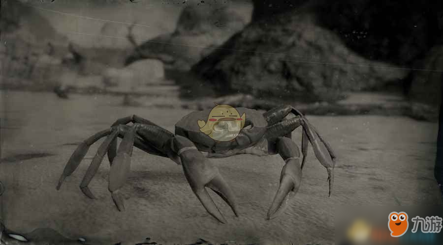 《荒野大镖客2》古巴陆蟹图鉴一览