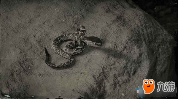 《荒野大镖客2》粗鳞矛头蝮蛇在哪 粗鳞矛头蝮蛇分布位置一览