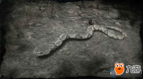 《荒野大镖客2》南部铜斑蛇图鉴一览