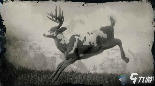 《荒野大镖客2》传说公鹿图鉴一览