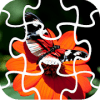 Butterfly Jigsaw Puzzle Kingiphone版下载