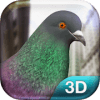 Pigeon Simulator怎么安装