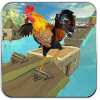 Farm Rooster Stunts & Water Run **最新版下载