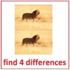 images differences game