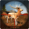 Big Deer Hunter破解版下载