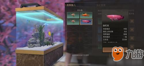 明日之后血红龙怎么养 观赏鱼血红龙续命方法介绍