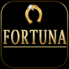 Play Wheel Fortuna Game绿色版下载