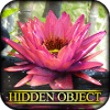 Hidden Object  State of Zen如何升级版本