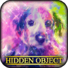 Hidden Object  Animal Family * * *破解版下载