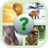 Guess the animal 2019终极版下载