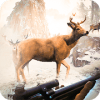 Deer Hunt 2019  Animal Hunting Games