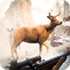 Deer Hunt 2019  Animal Hunting Games终极版下载