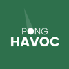 Pong Havoc  Block vs Ball Arkanoid Puzzle Game下载地址