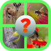 4 Pics 1 Word Animalsiphone版下载