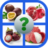 Guess Fruit and Vegetables破解版下载