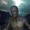 Zombies 3D FPS费流量吗