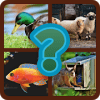 Guess The picture 2019