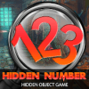 Secret of Hidden Numbers