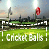 Cricket Balls破解版下载