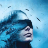 CREATURES A Bird Box Game