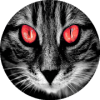 Horror and Spooky Stories  Chat Stories ES