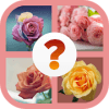 Flower Quiz  Botany Quiz For Adults And Kids绿色版下载