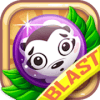 Raccoon Blast版本更新