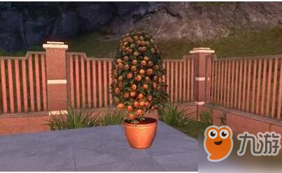 明日之后橘子树怎么获得？明日之后橘子树获取攻略介绍！