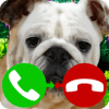 fake call dog game费流量吗