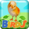 Birds 2048费流量吗