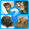 Scientific name quizAnimals版本更新