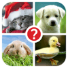 Guess the word ~ 4 Pics 1 Word玩不了怎么办