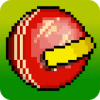 Sandy Balls Cricket怎么安装