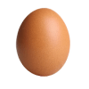 The world record egg