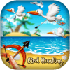 Archery Birds Hunting : Duck Hunting官方下载