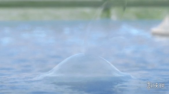 《宝可梦剑盾》御三家特性技能介绍 敲音猴炎兔儿泪眼蜥配招推荐